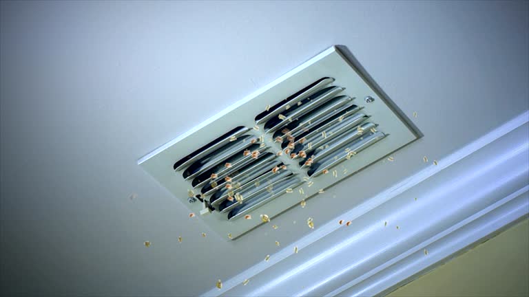 Air Duct Mold Removal in Cumming, GA