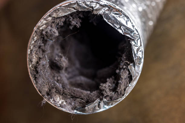 Best Affordable Air Duct Cleaning  in Cumming, GA