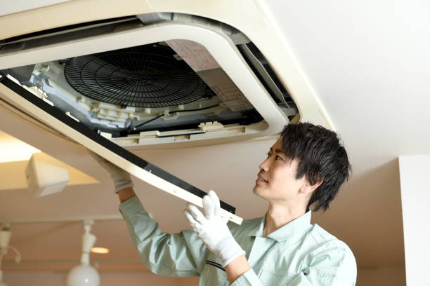 Best Air Duct Sanitizing Services  in Cumming, GA